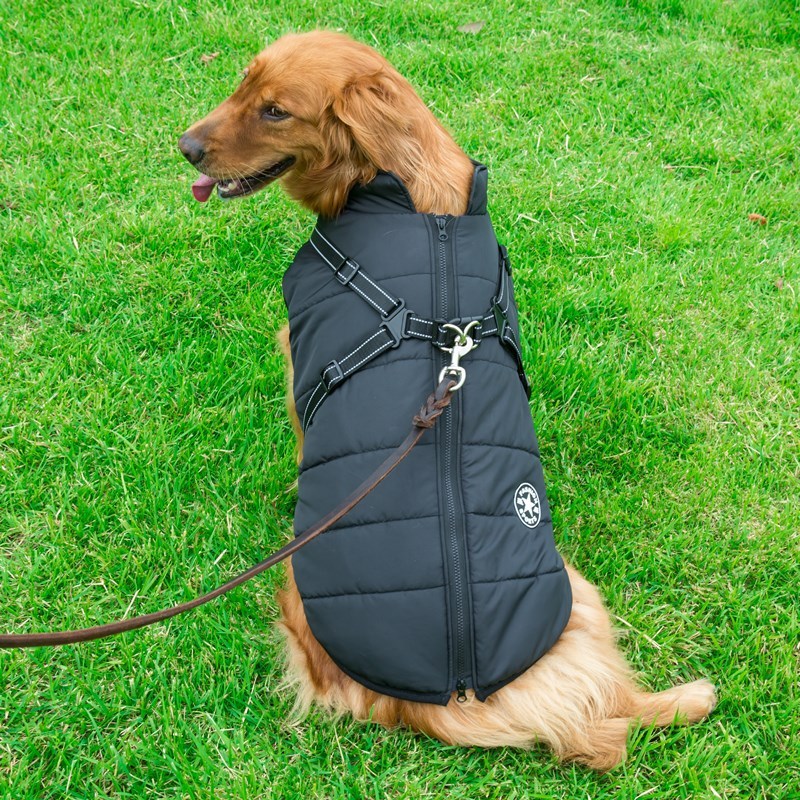 water-resistence Chest Back Integrated Cotton Vest Pet Winter Clothes