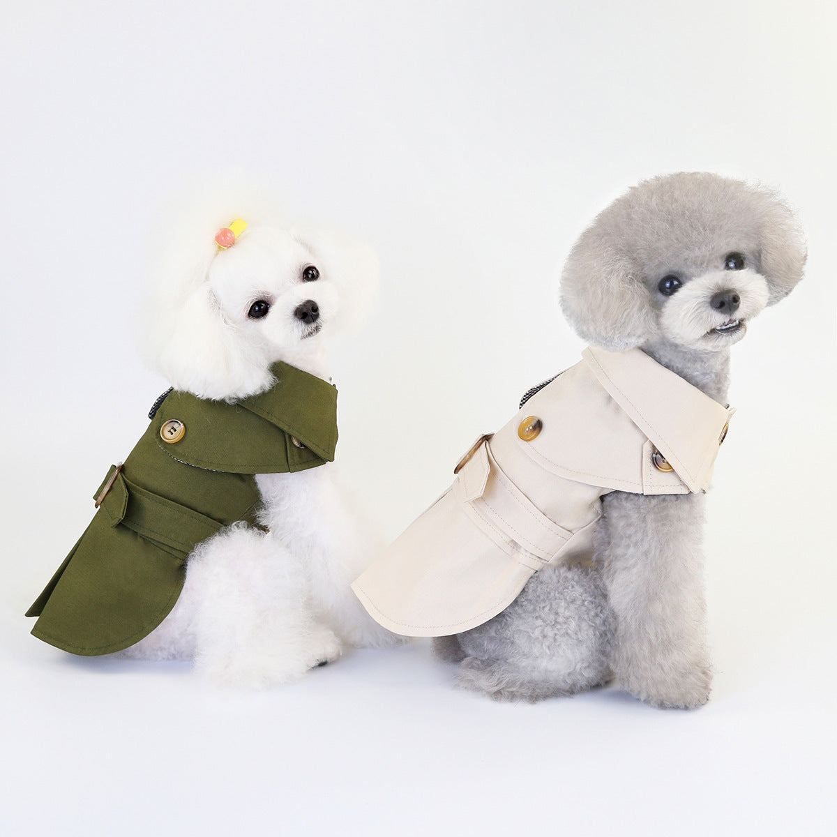 Chic Petwear – Everyday Style