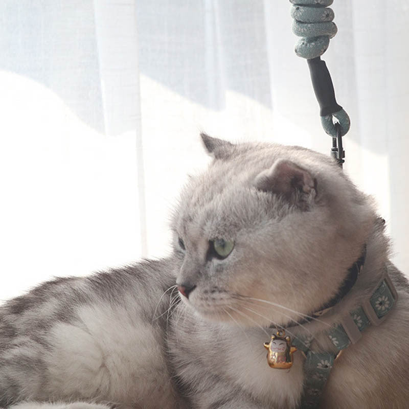Pet Print Anti-stroke Cat Leash