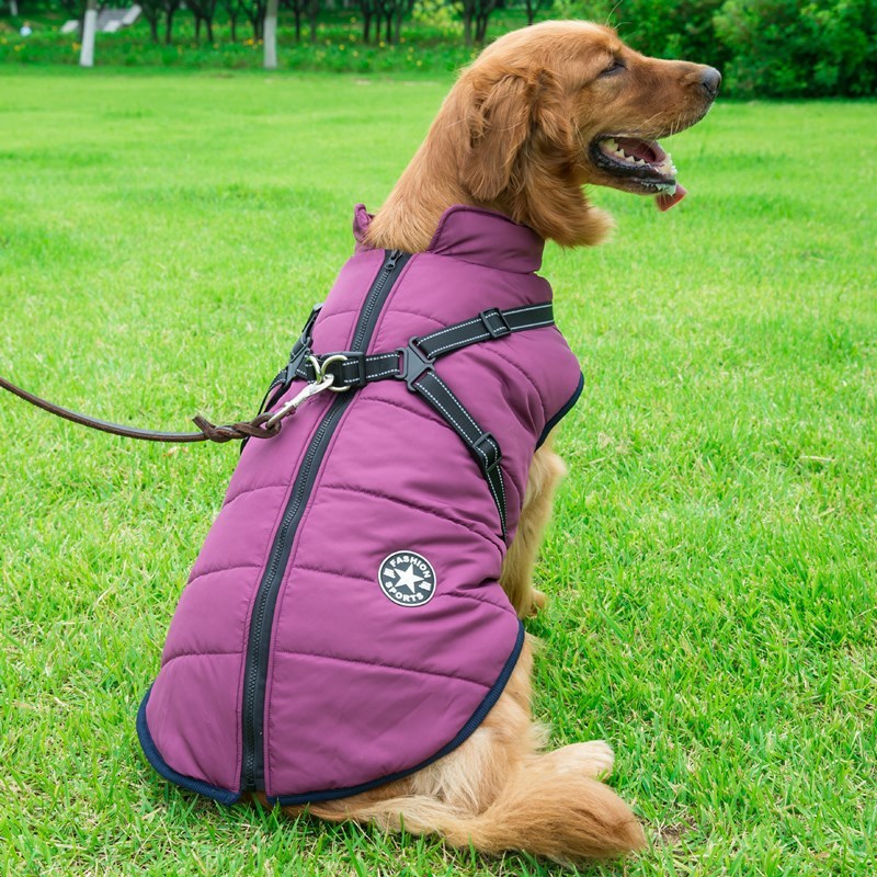 water-resistence Chest Back Integrated Cotton Vest Pet Winter Clothes
