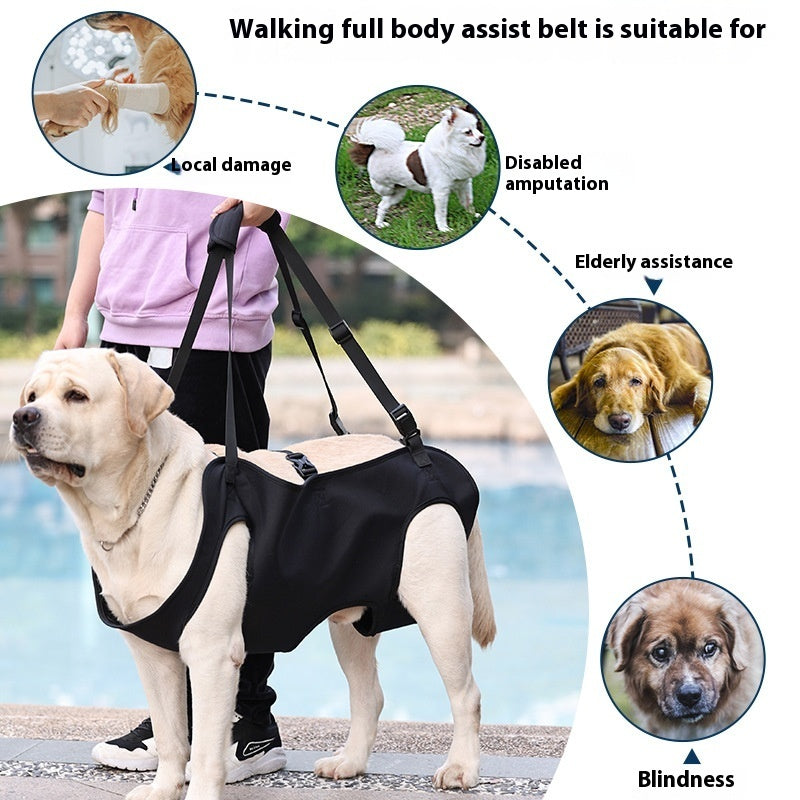 Full-Body Lift Harness for Dogs – Injury Recovery & Elderly Support