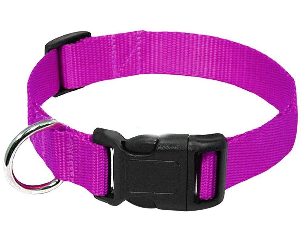 Nylon Collar Dog Leash