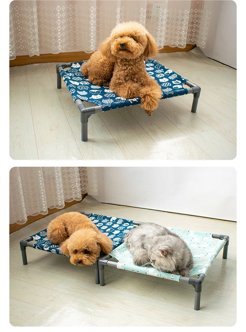 Elevated Comfort for Pets On the Go