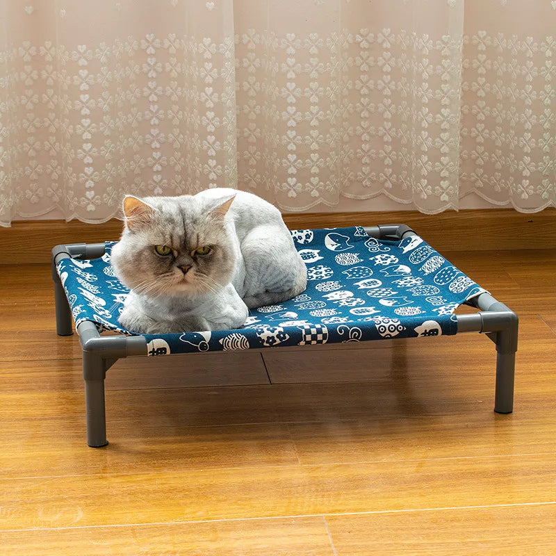 Elevated Comfort for Pets On the Go