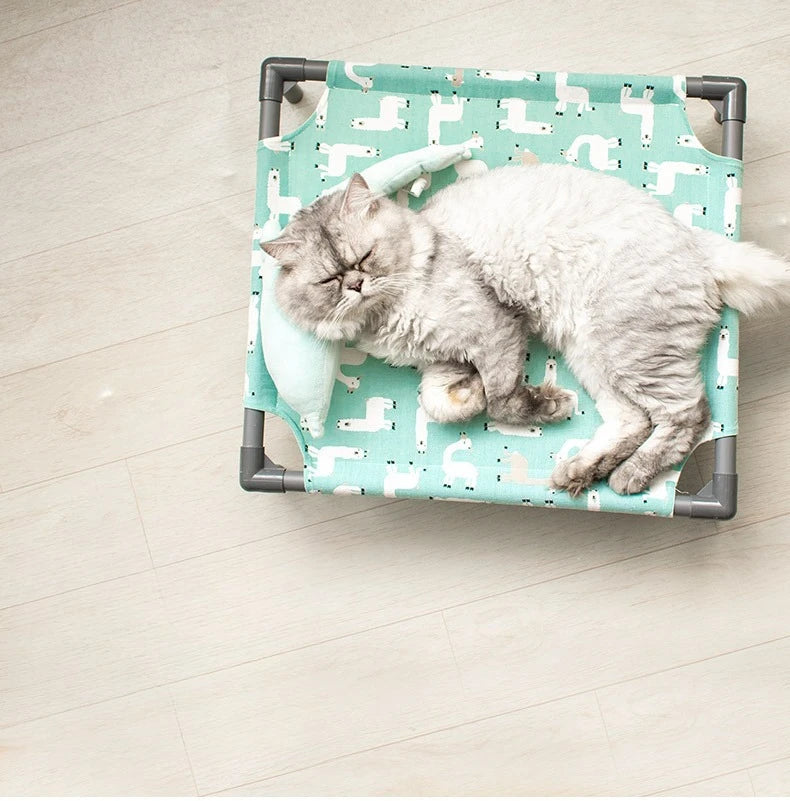 Elevated Comfort for Pets On the Go