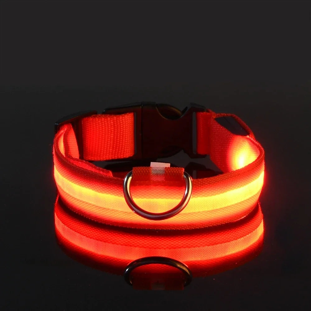 GlowPup Halo