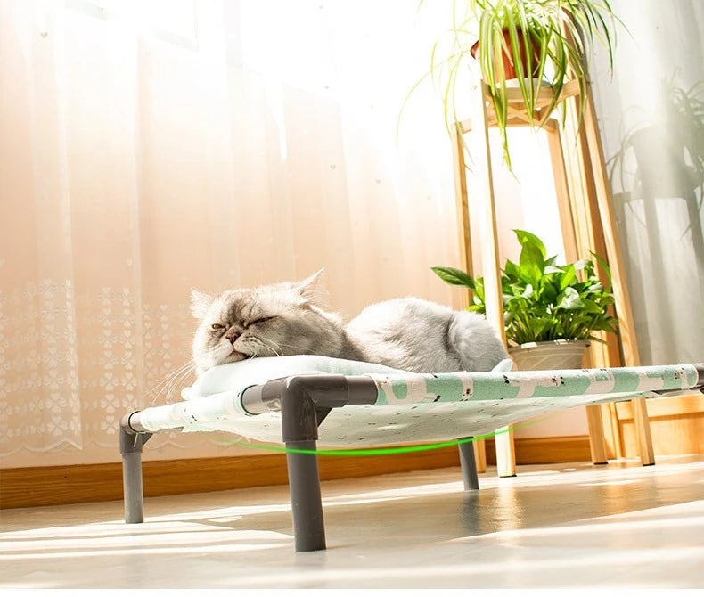 Elevated Comfort for Pets On the Go