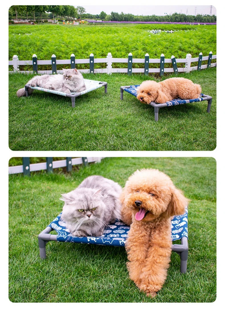 Elevated Comfort for Pets On the Go