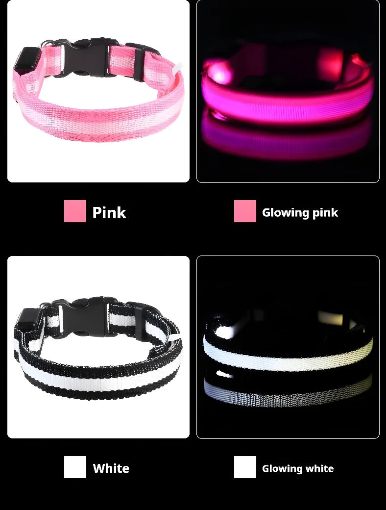 GlowPup Halo