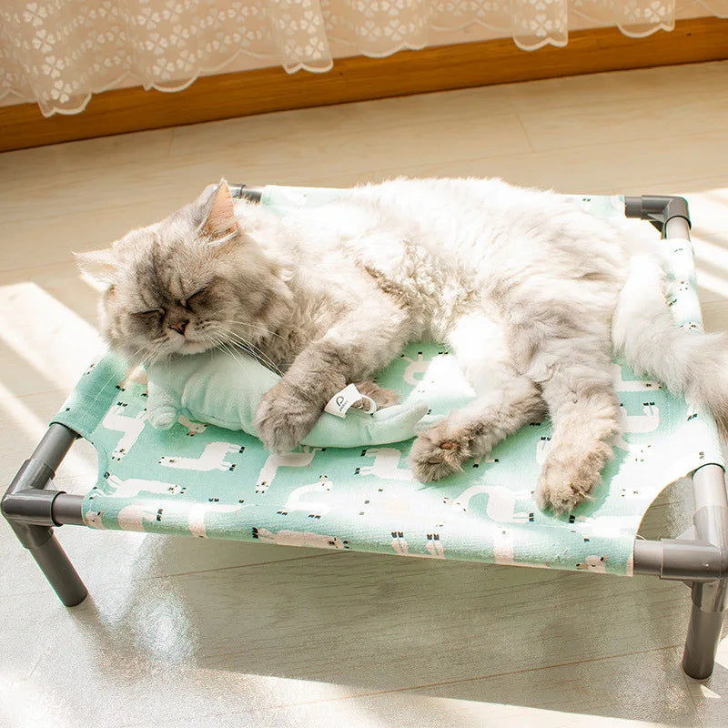 Elevated Comfort for Pets On the Go