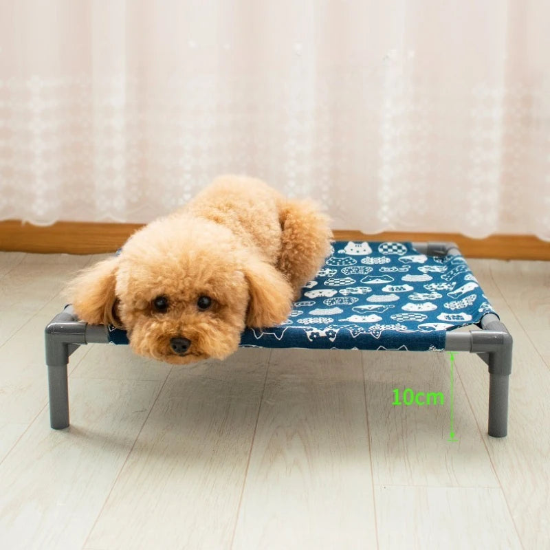 Elevated Comfort for Pets On the Go