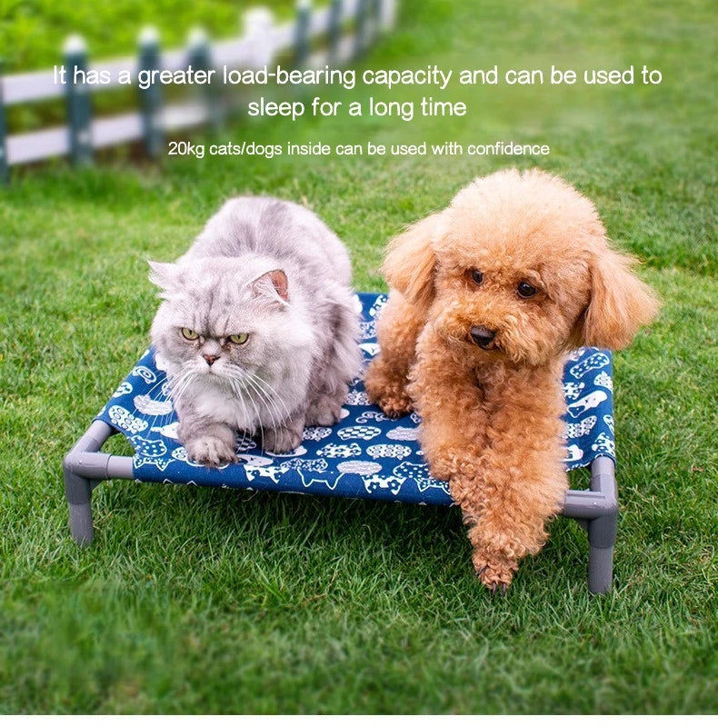Elevated Comfort for Pets On the Go