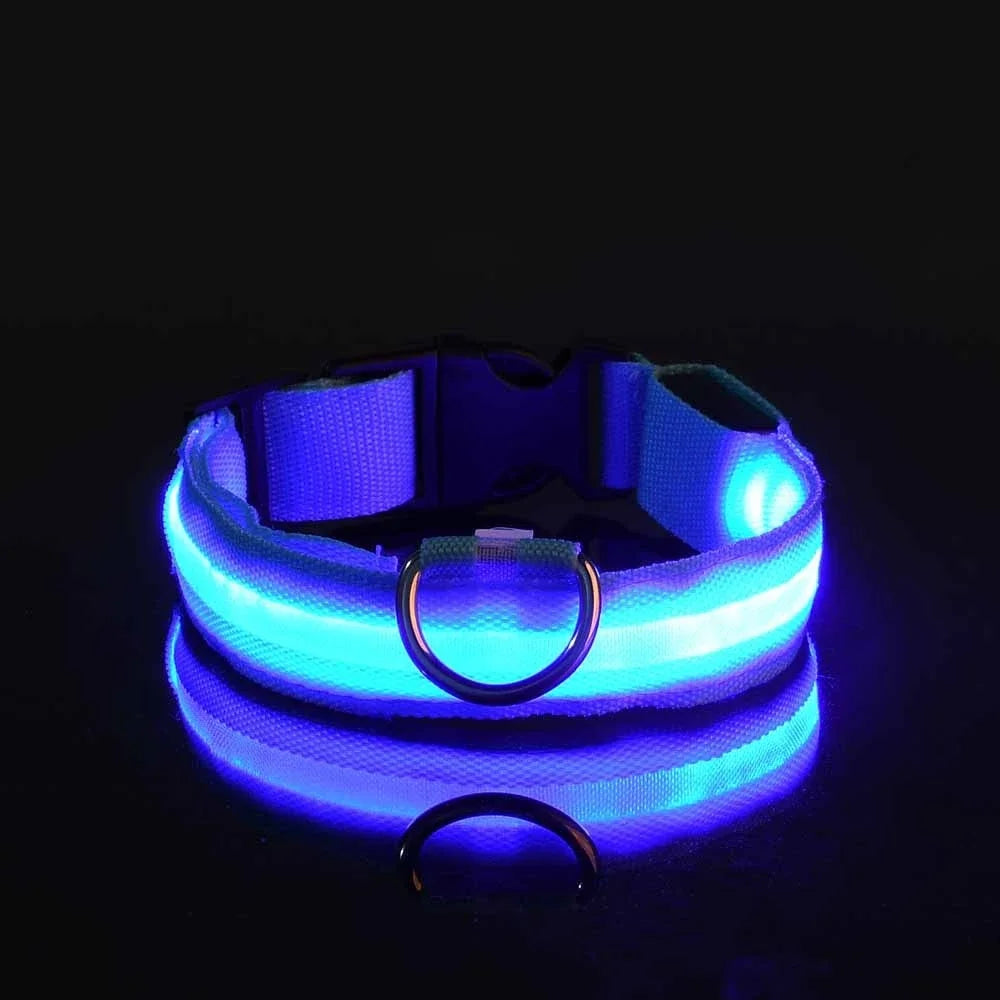 GlowPup Halo