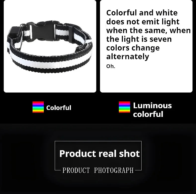 GlowPup Halo