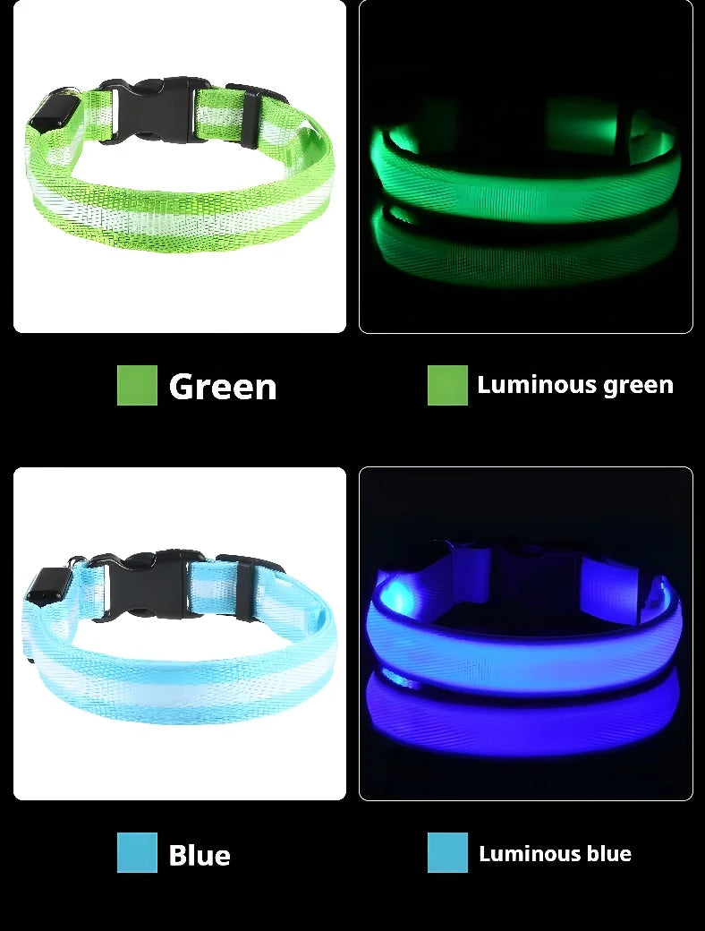 GlowPup Halo