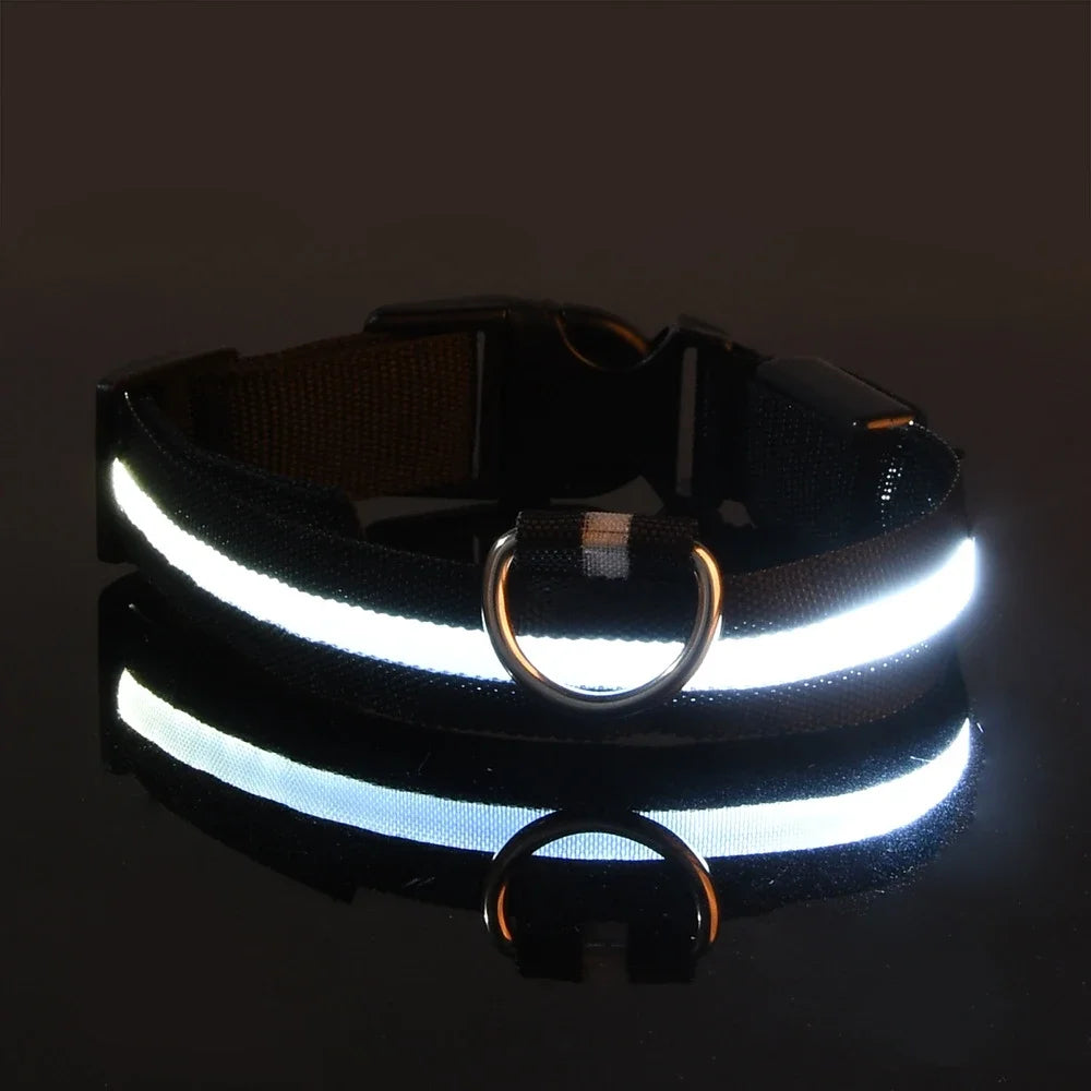 GlowPup Halo