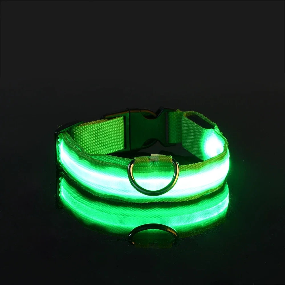GlowPup Halo
