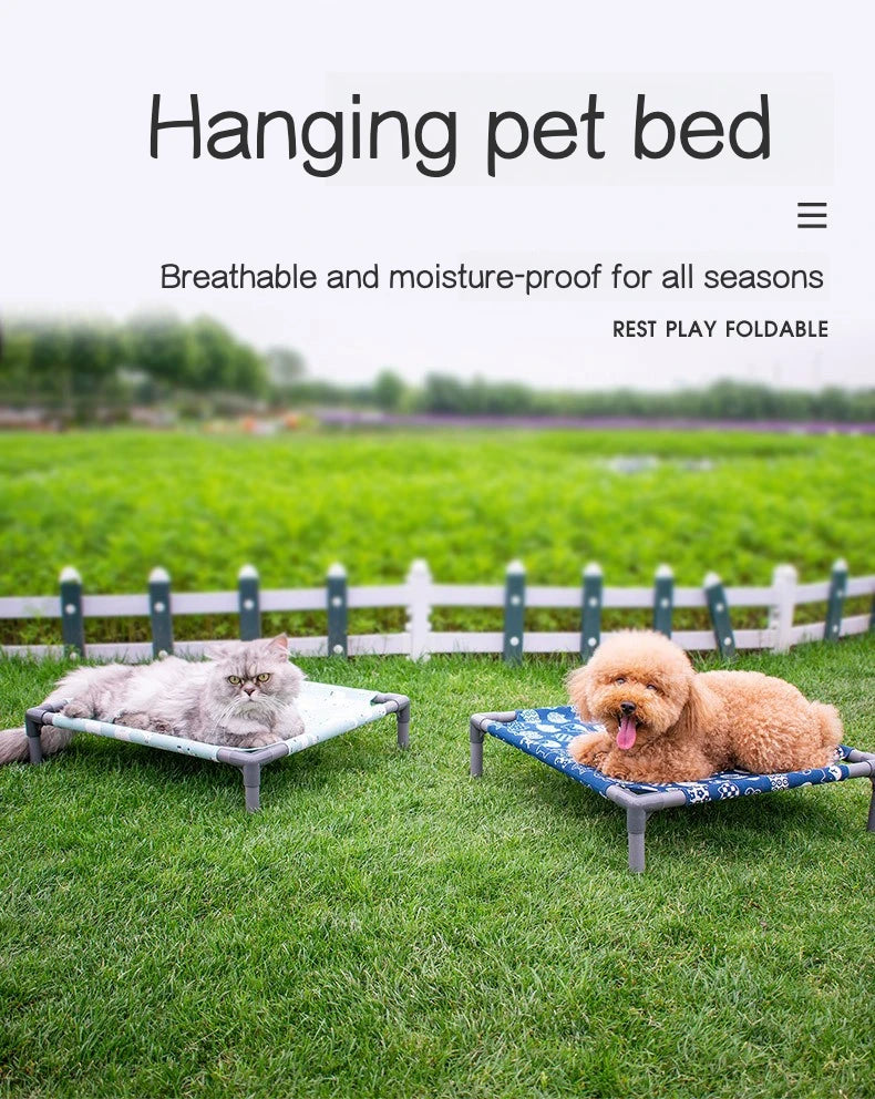 Elevated Comfort for Pets On the Go