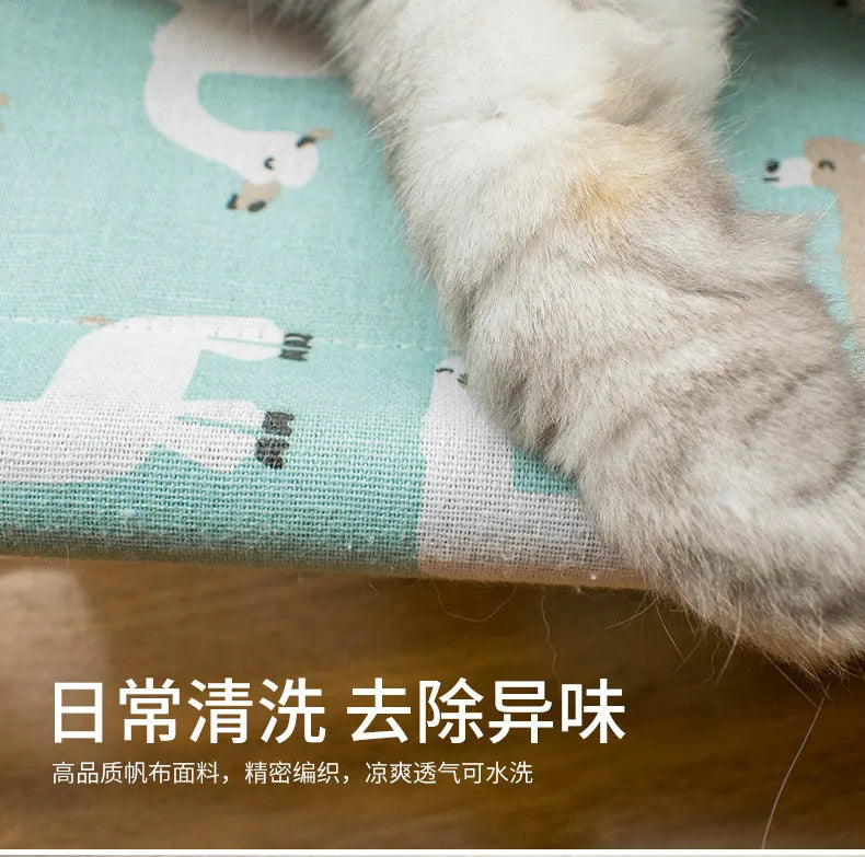Elevated Comfort for Pets On the Go