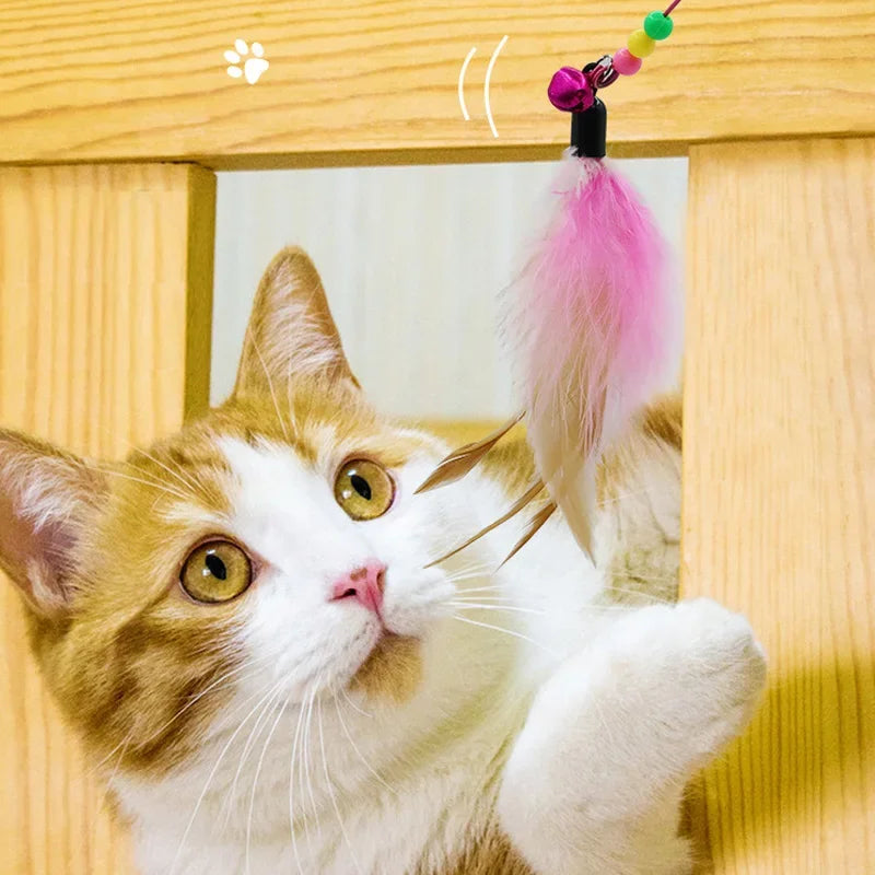 Toy for Kittens Entertaining Bell Feather Playful