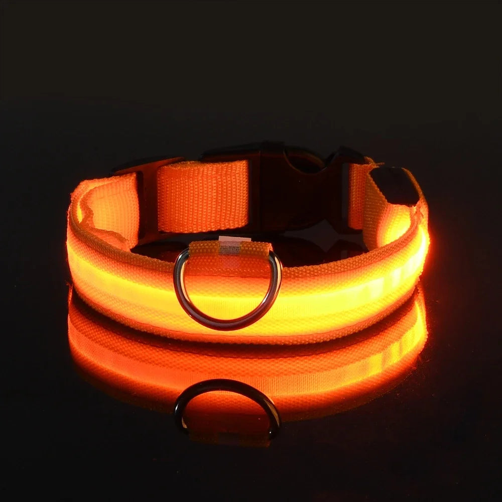 GlowPup Halo