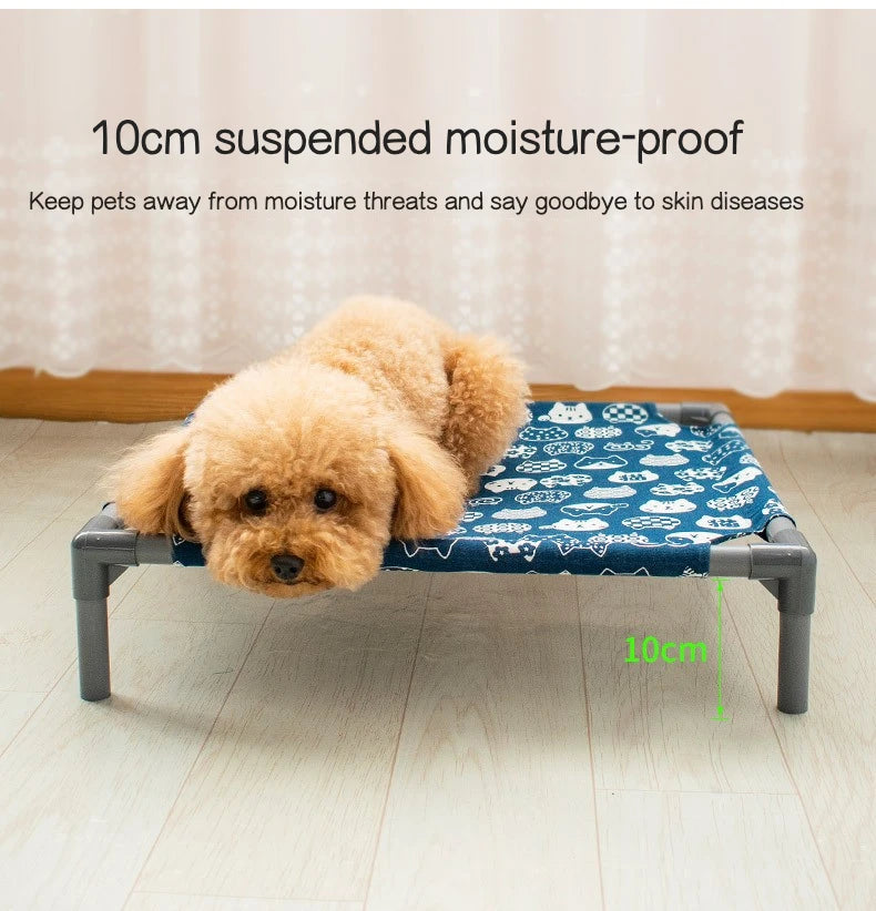 Elevated Comfort for Pets On the Go