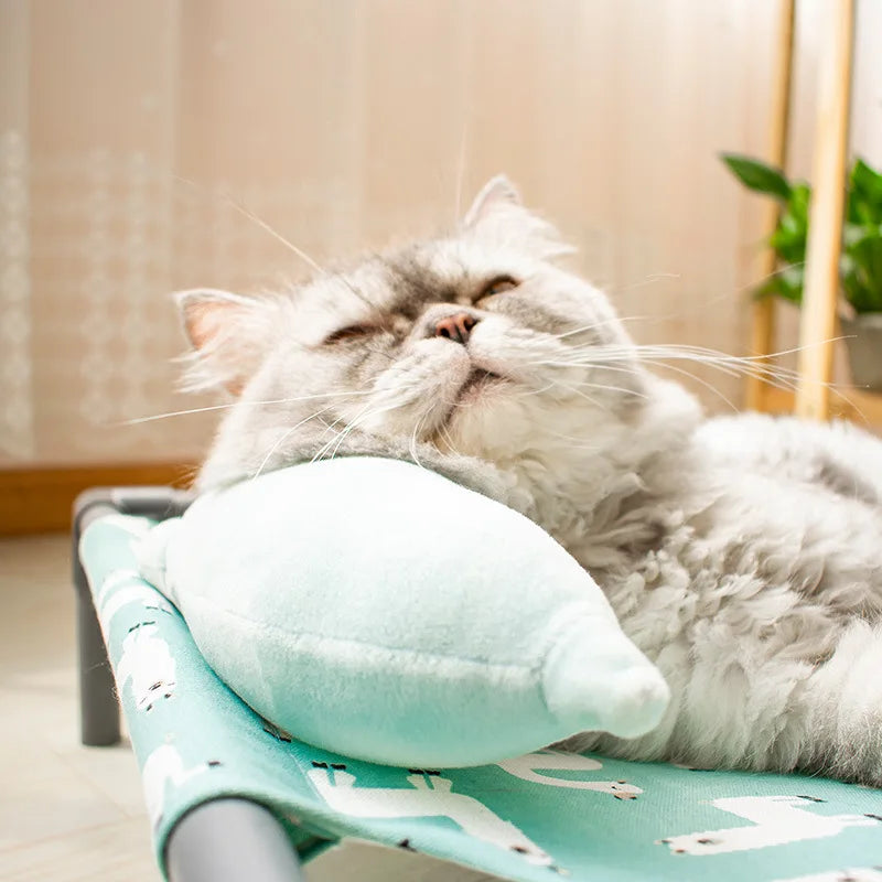 Elevated Comfort for Pets On the Go