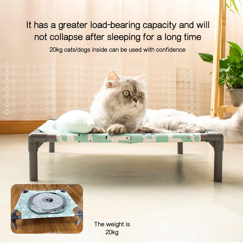 Elevated Comfort for Pets On the Go