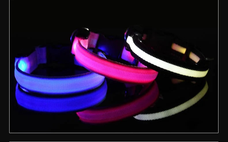 GlowPup Halo