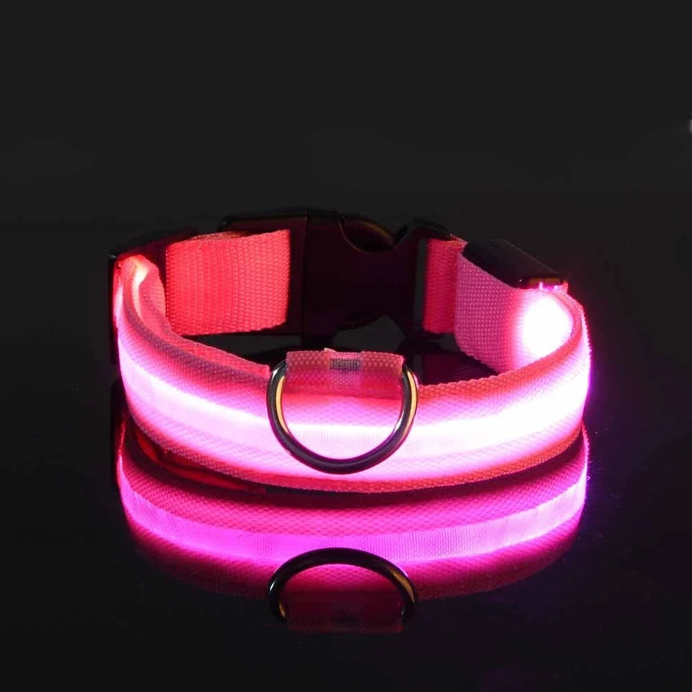 GlowPup Halo