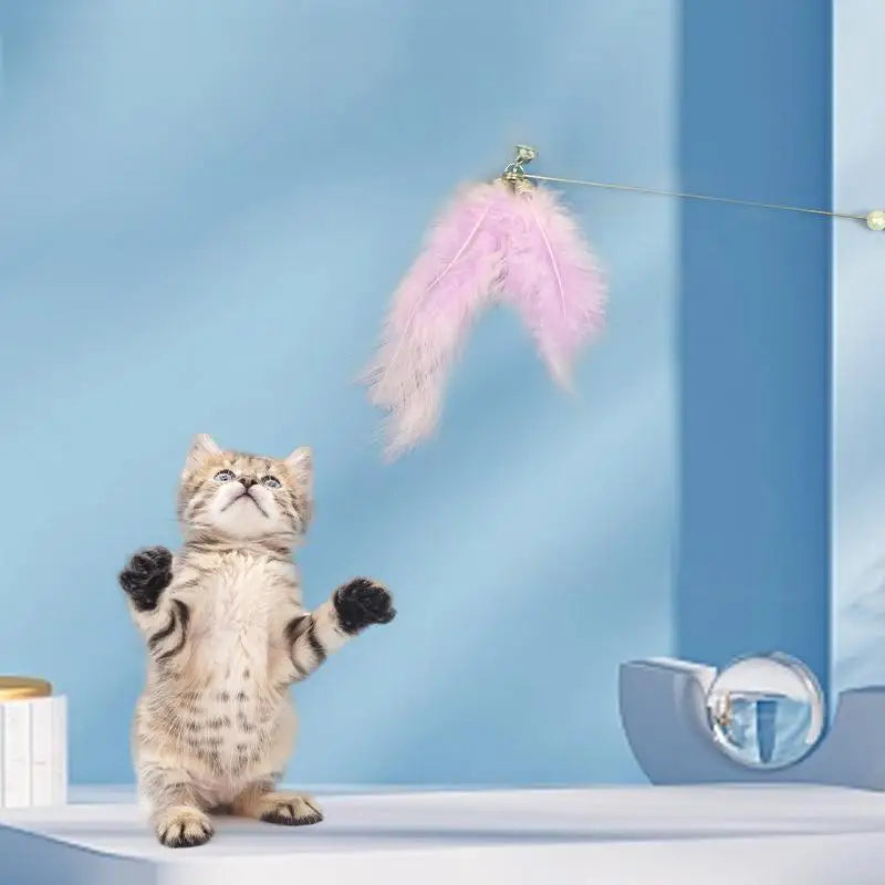 Toy for Kittens Entertaining Bell Feather Playful