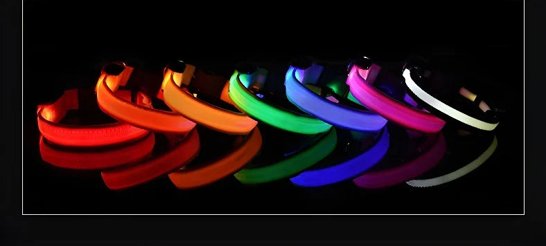 GlowPup Halo