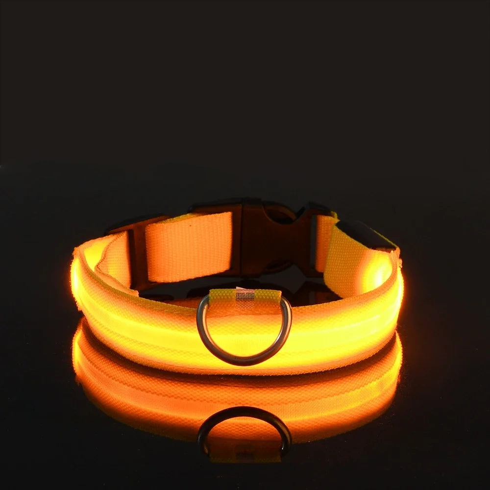 GlowPup Halo