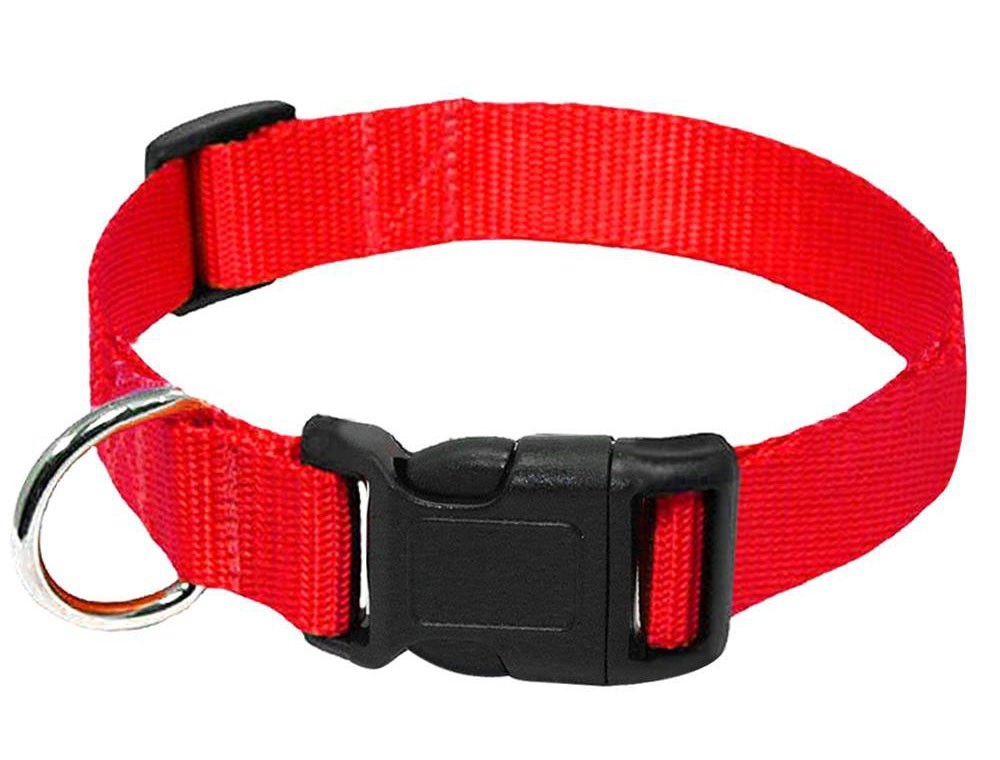 Nylon Collar Dog Leash
