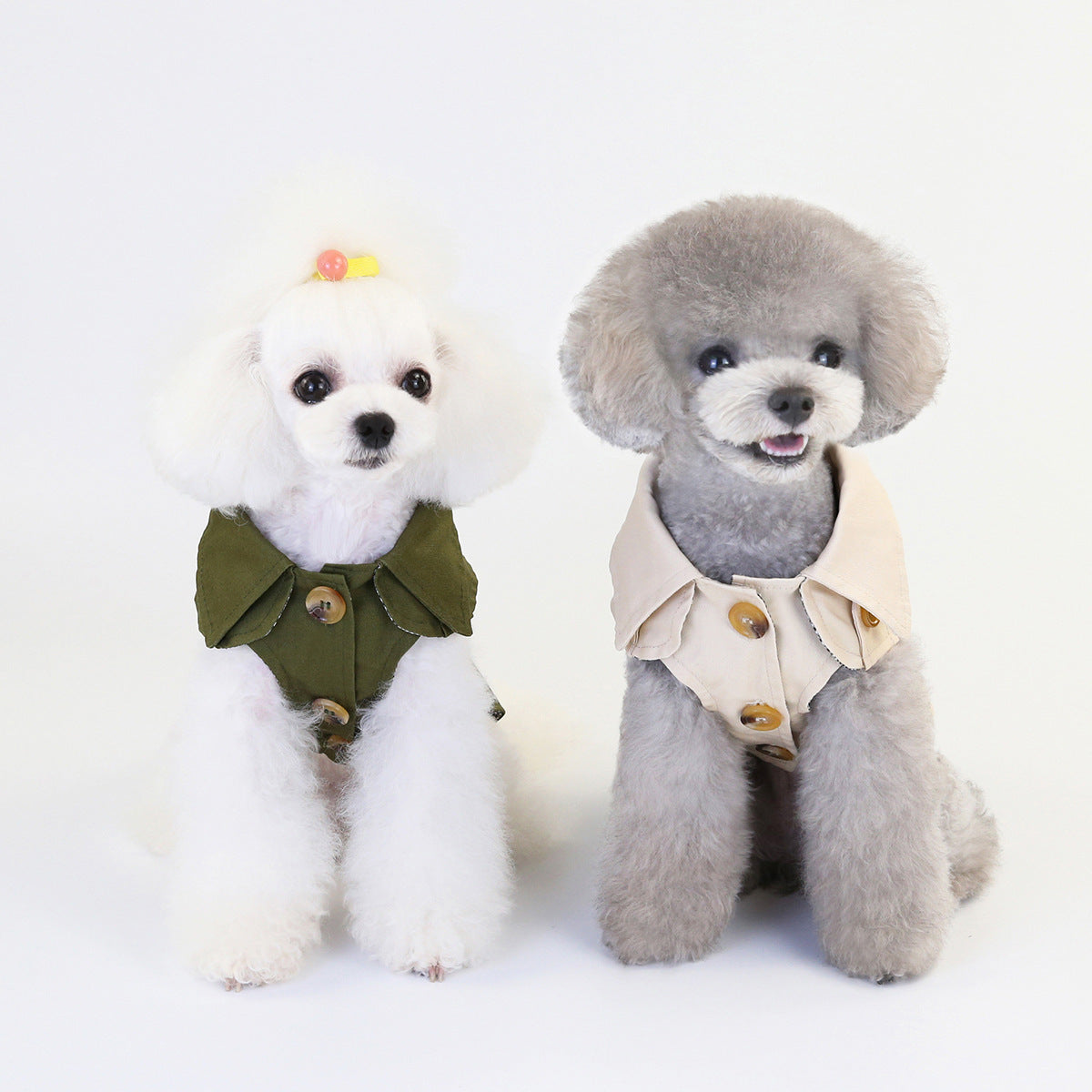 Petwear – Everyday Style