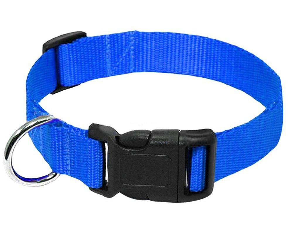 Nylon Collar Dog Leash