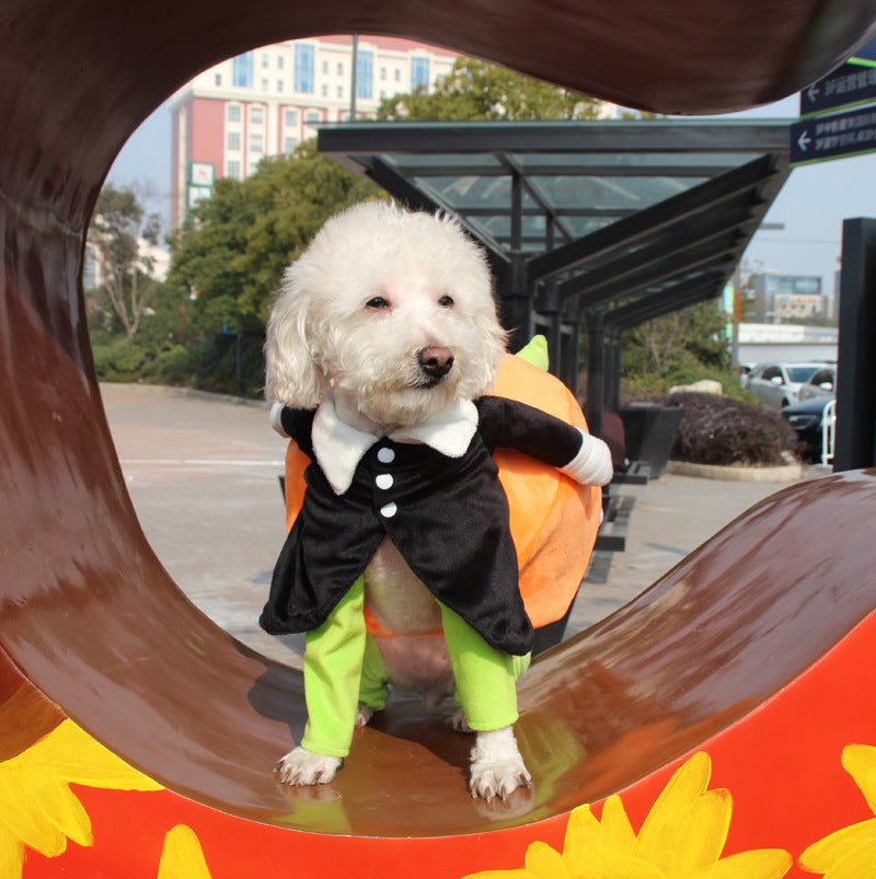 Halloween Pumpkin Dog Dresse-UP