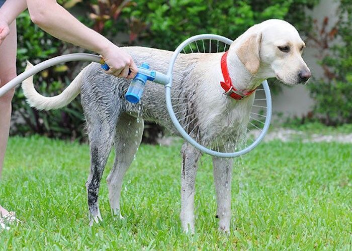Automatic 360° Pet Bath Ring – Hands-Free Dog Shower Tool for Fast & Gentle Grooming