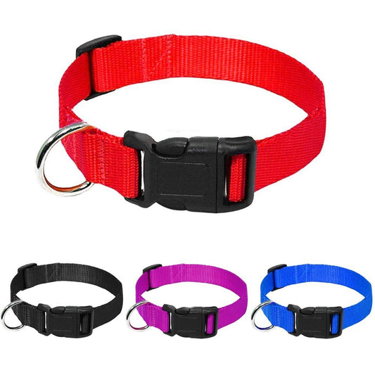 Nylon Collar Dog Leash