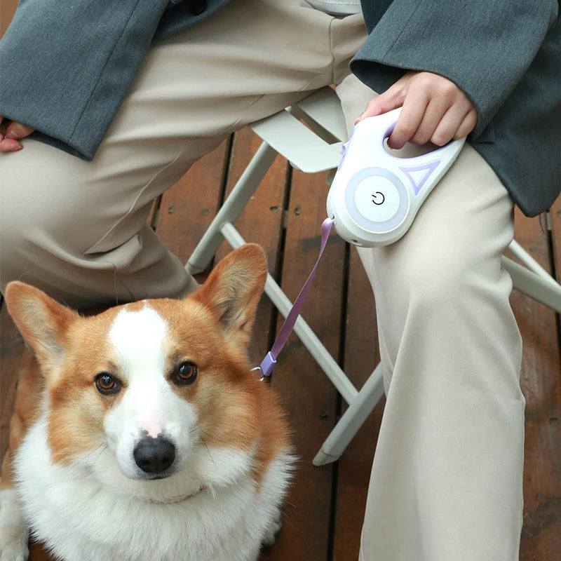 Large Dog Walk Run Leash Lead Automatic