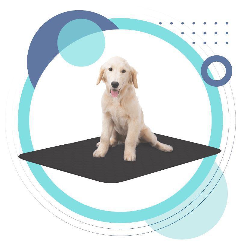 Grounding Pet Mat for Cats & Dogs – Stress & Anxiety Relief with Earthing Cable (60x90cm)