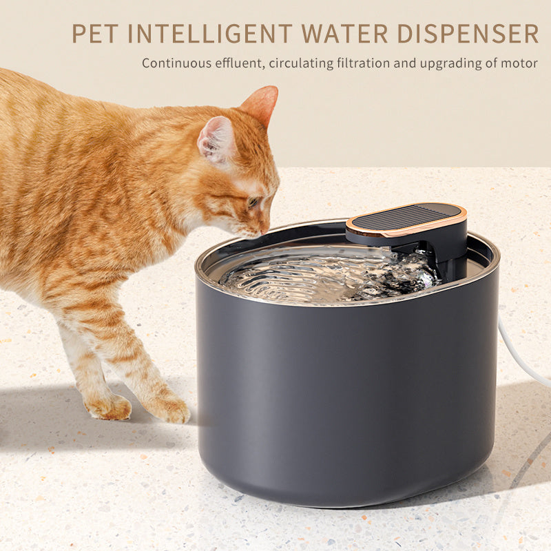 Cat drinking from smart automatic water fountain with motion sensor