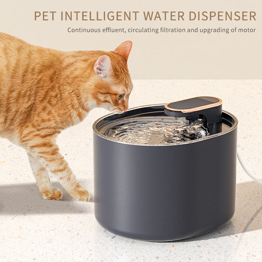 Cat drinking from smart automatic water fountain with motion sensor