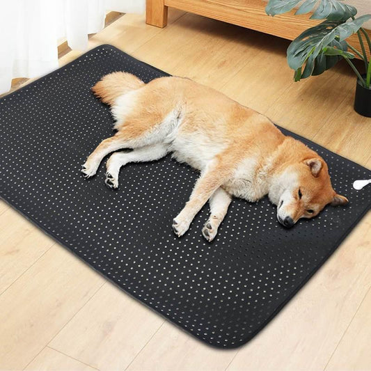 Golden dog resting peacefully on a black grounding mat with anti-slip texture in a cozy indoor space."
