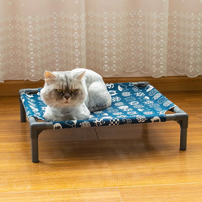 Elevated Comfort for Pets On the Go