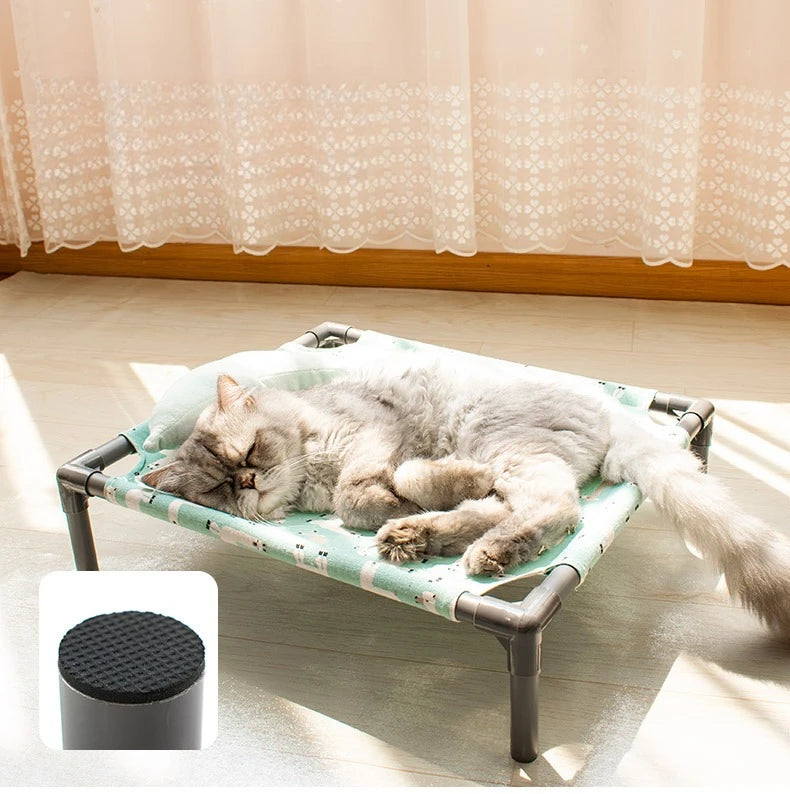Elevated Comfort for Pets On the Go