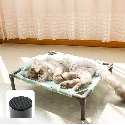 Elevated Comfort for Pets On the Go