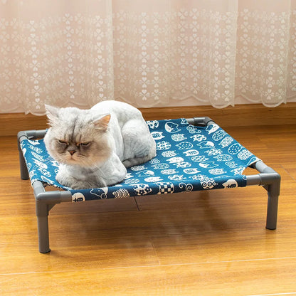 Elevated Comfort for Pets On the Go