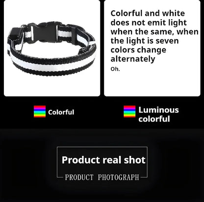 GlowPup Halo