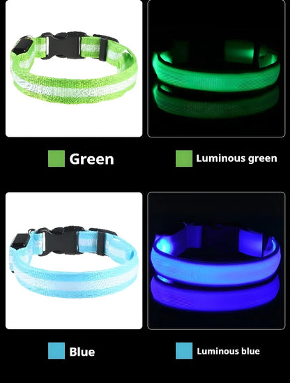 GlowPup Halo